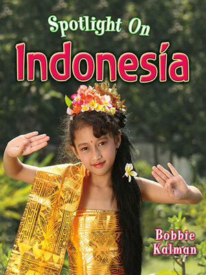 Spotlight on Indonesia - ebook